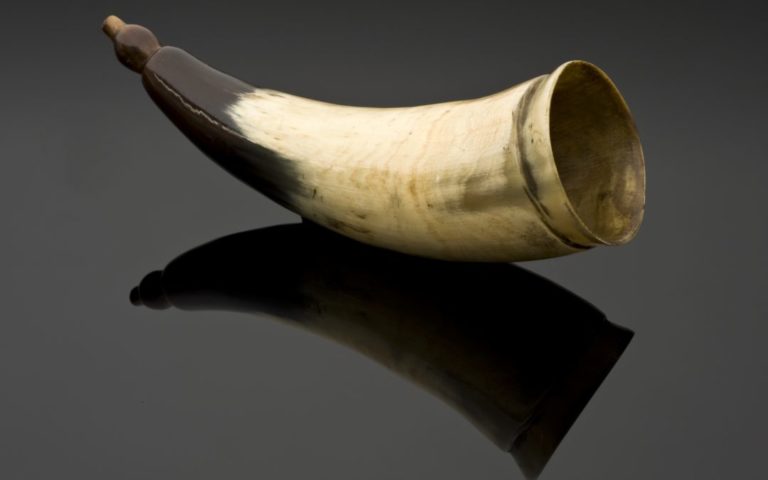 antique looking horn